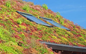 Rendlesham living roof systems